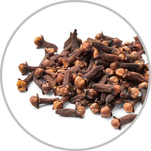Clove
