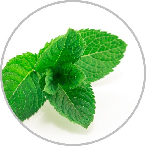 Peppermint