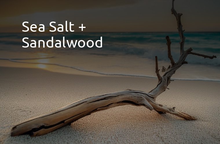 SeaSalt+Sandalwood