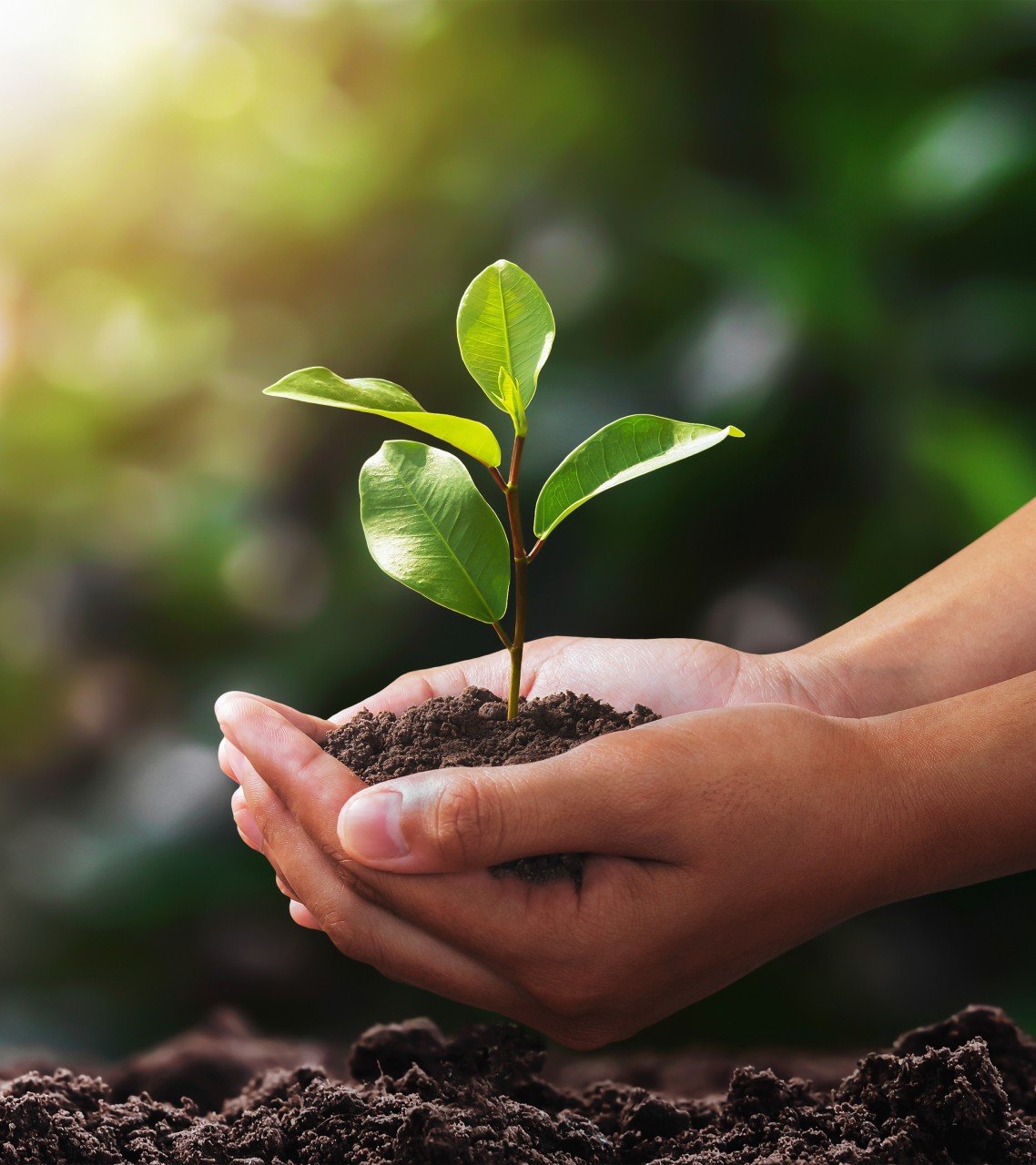 Sustainability